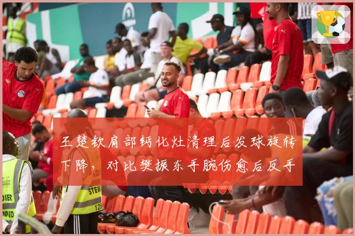 王楚钦肩部钙化灶清理后发球旋转下降，对比樊振东手腕伤愈后反手拧拉质量提升