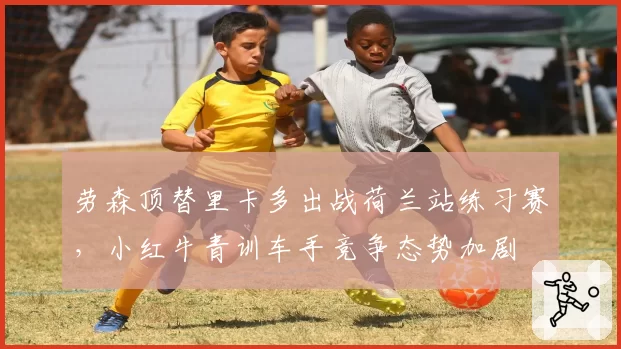 劳森顶替里卡多出战荷兰站练习赛，小红牛青训车手竞争态势加剧